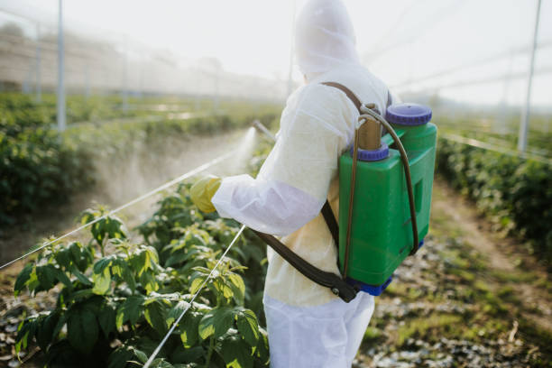 Flea Control Services in Elverta, CA
